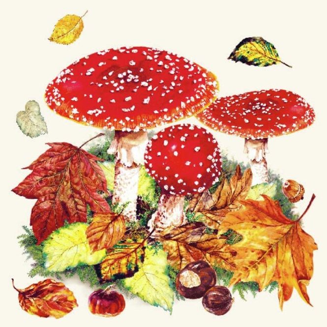 Hovedbilde Napkin Lunsj Fly Agaric