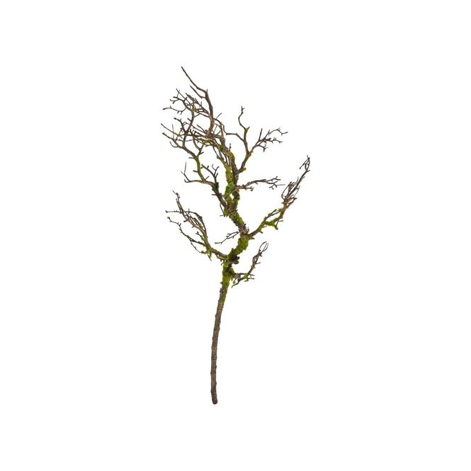 Hovedbilde Mose kvist 90 cm 