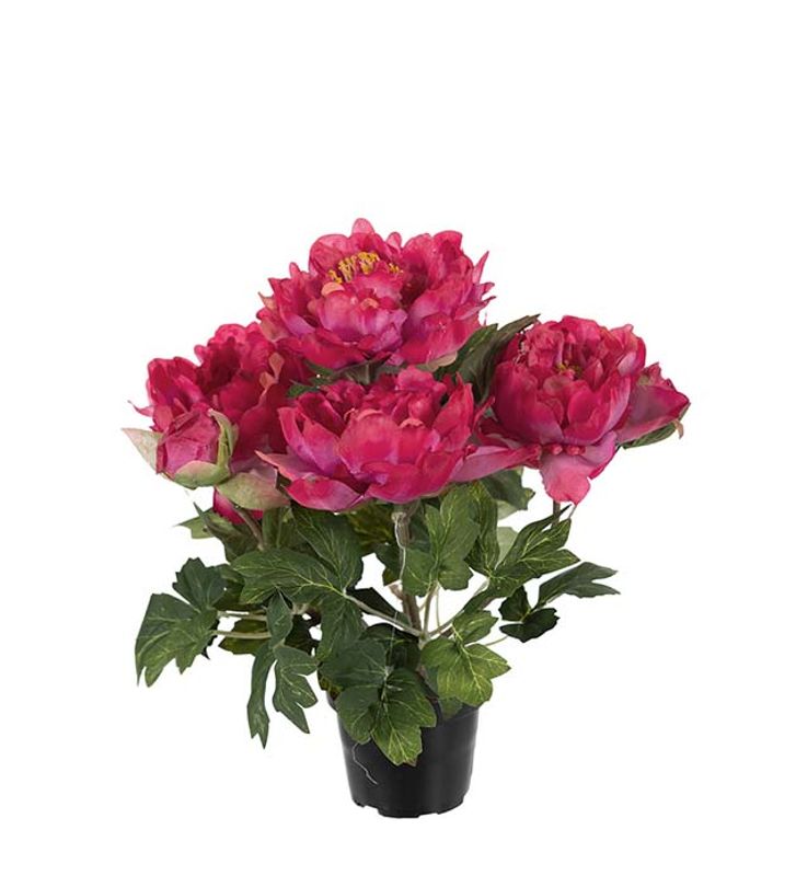 Pion assortert 35 cm 