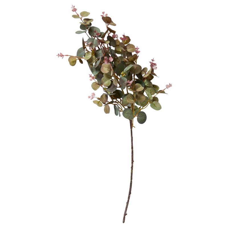 Eukalyptus stilk 70cm 
