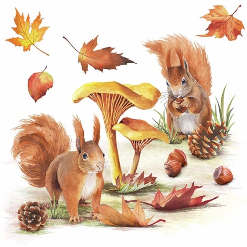 Servietter lunsj - Squirrels go nuts