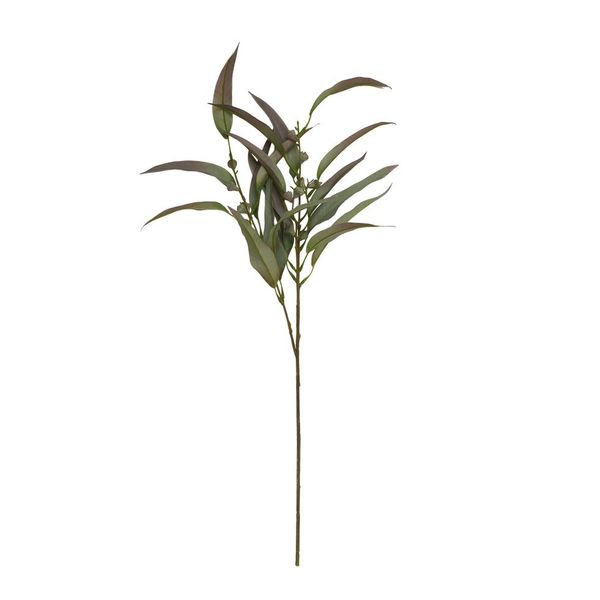 Hovedbilde Eukalyptus stilk 70 cm 
