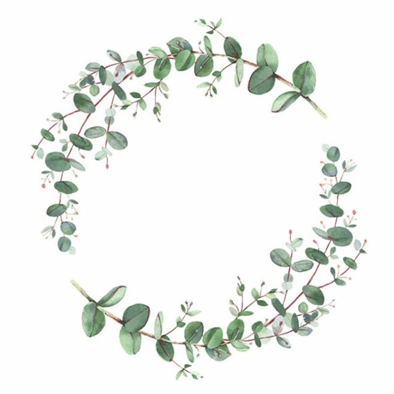 Servietter Lunsj Eucalyptus Branche White