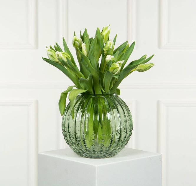 Hovedbilde Vase Allium Grønn