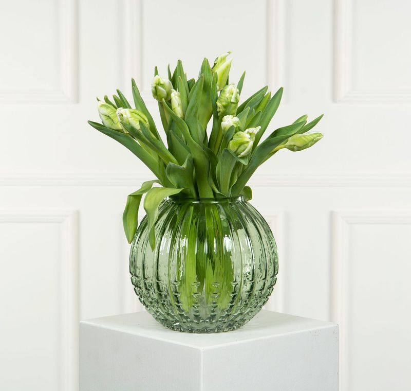 Vase Allium Grønn