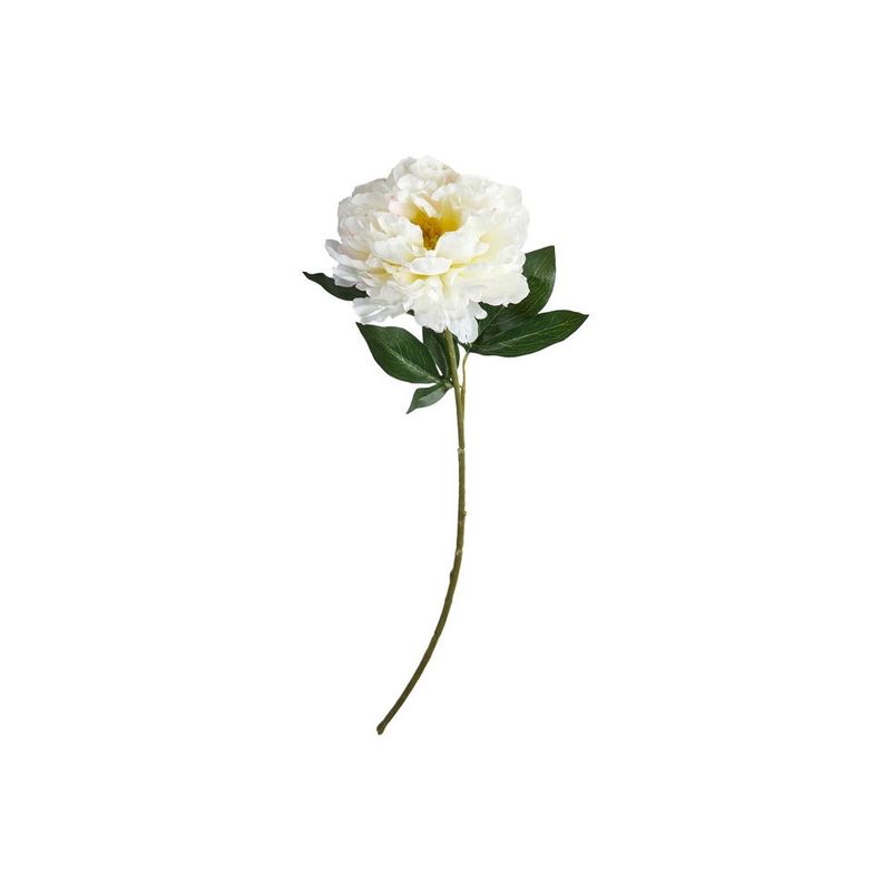 Pion stilk 78 cm 