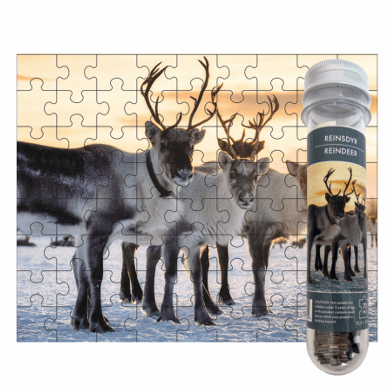 Puslespill rør 72pcs - Reinsdyr