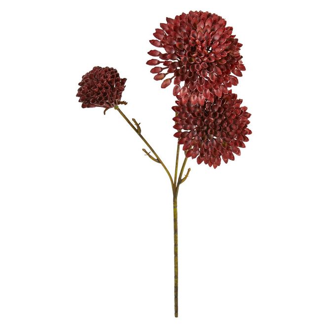 Hovedbilde Georgine stilk 45cm