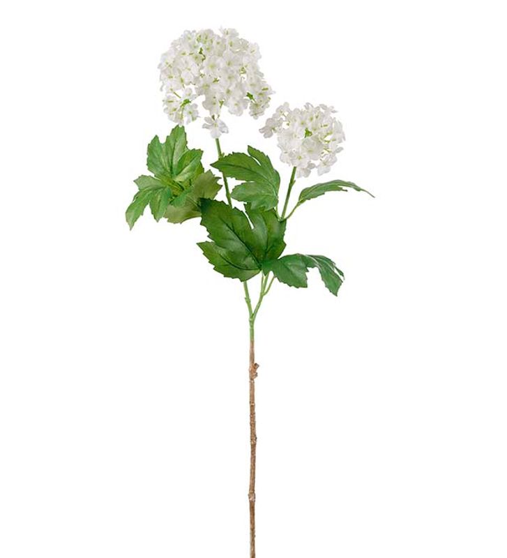 Olvon 60 cm 