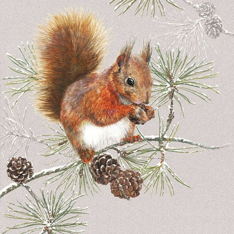 Servietter Kaffe Squirrel In Winter