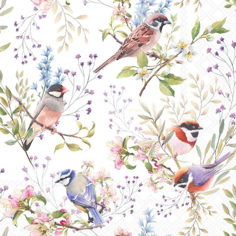 Servietter kaffe Busy birds 