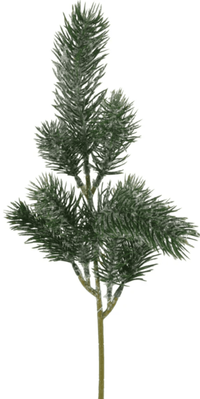 Furu 37 cm