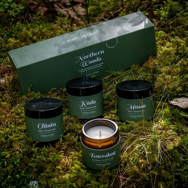 Hovedbilde Northern Woods 4-pakk 50 g