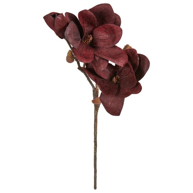 Hovedbilde Magnolia stilk 64cm
