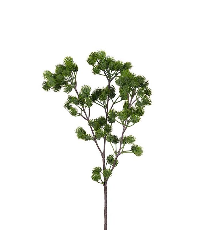 Lerkekvist, 40 cm