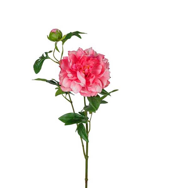 Hovedbilde Pion 65 cm 